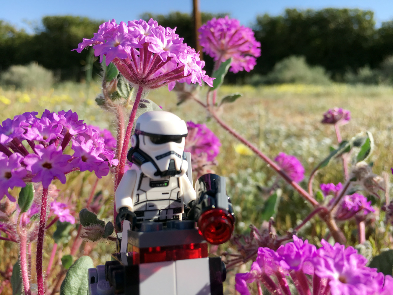 Trooper Flower